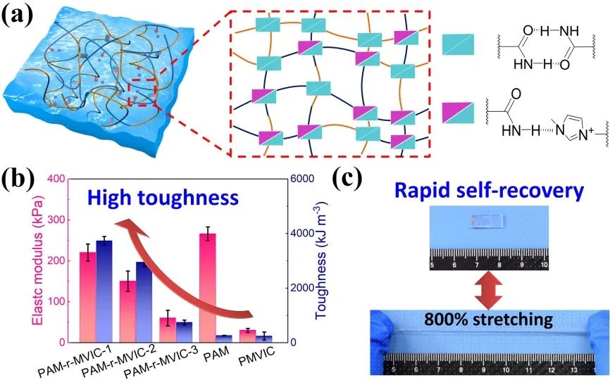 刘天西教授/张超研究员团队：氢键网络致密化策略构筑高可拉伸、抗冻、自粘附的透明离子凝胶弹性体的图1