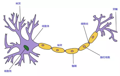 4万字一文带你看懂车载摄像头技术、市场、发展前景的图79