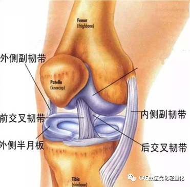 基于Python的CAE后处理二次开发-ANSYS篇的图1