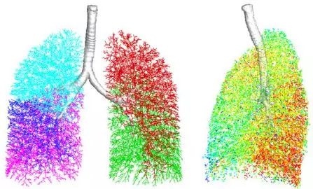 仿真技术在生物医学领域的应用的图10