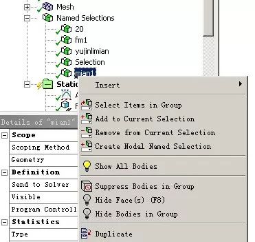 ANSYS Workbench named selection应用的图7