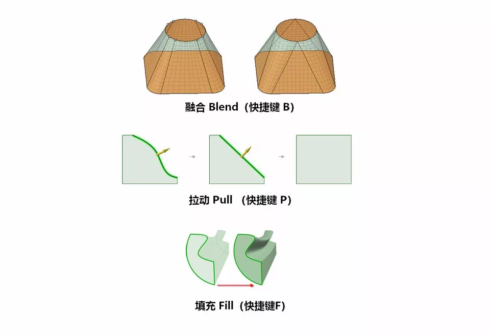 流体仿真中SCDM软件的基本工作流程的图12