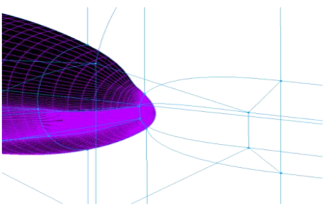 将 NASA 高升力共同研究模型与 Fidelity Pointwise 网格化的图6