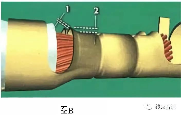 线缆及线束组件检验标准（供参考学习）的图45