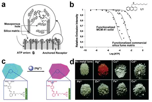 武大袁荃Chem. Soc. Rev.重磅: 分析科学中介孔材料结构-性能关系的新见解！的图14