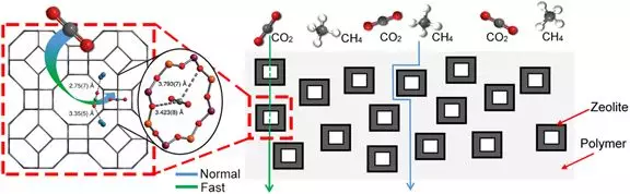 南洋理工大学&天津大学最新Chem. Rev. 综述：功能填充材料应用于膜法沼气净化方面的研究进展的图2