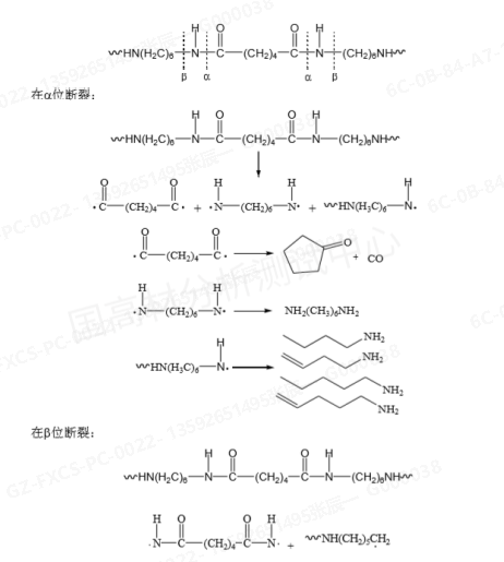 技术研究 | 汽车及电子电器用PA66/PA6合金裂解气相色谱-质谱法定性定量分析方法的图5