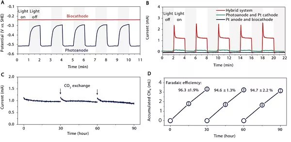 Nano Energy :法拉第效率高达96%的微生物/光电复合人工光合作用体系的图5