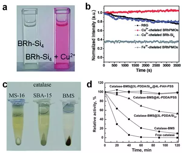 武大袁荃Chem. Soc. Rev.重磅: 分析科学中介孔材料结构-性能关系的新见解！的图31