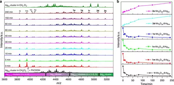 山大孙頔Nature子刊: 羧酸刺激诱导的纳米银簇反应的图3