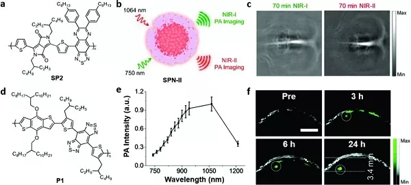 刘斌 Adv. Mater. 综述: “近红外-II”光学成像的最新进展的图7
