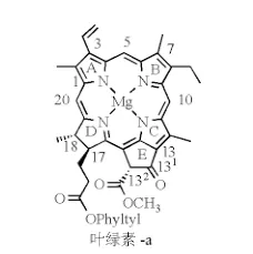 抗癌功臣：梳理叶绿素家族的八种光敏剂的图3