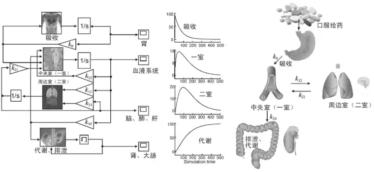 Simulink仿真模型在药物代谢动力学教学改革中的应用的图2
