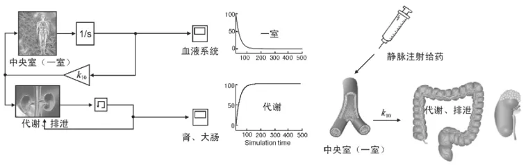 Simulink仿真模型在药物代谢动力学教学改革中的应用的图1