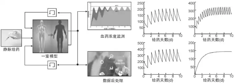 Simulink仿真模型在药物代谢动力学教学改革中的应用的图3